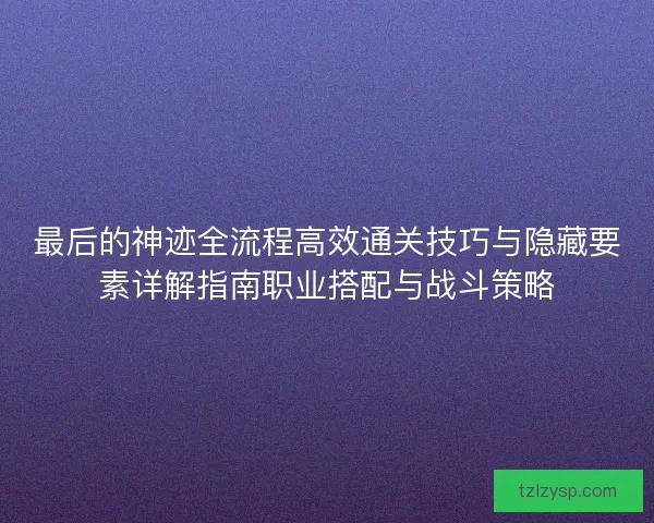 最后的神迹全流程高效通关技巧与隐藏要素详解指南职业搭配与战斗策略